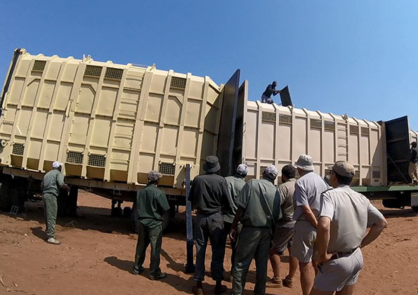 suf_relocation_elephants_8