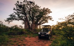 Mopane Bush Lodge Mopane Bush Lodge