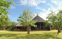 mopane6 mopane6